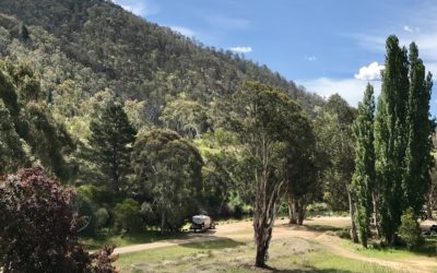 Omeo, Victoria. Livingstone Park. Free overnight riverside stop.