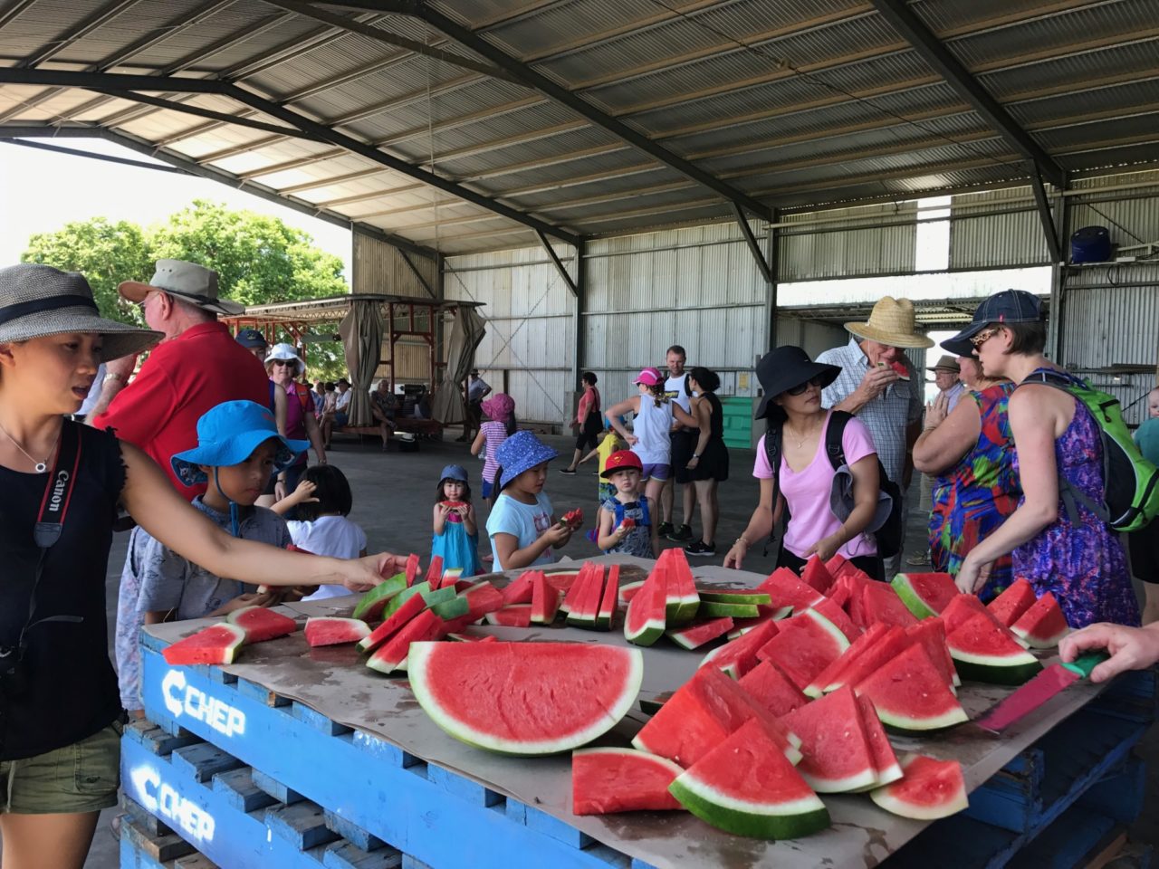 Chinchilla Qld, Watermelon Festival. Happy Campers Australia